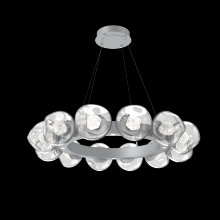 Hammerton CHB0095-36-CS-ZC-CA1-L1 - Luna Radial Ring - 36-Inch