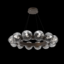 Hammerton CHB0095-36-FB-GS-CA1-L1 - Luna Radial Ring - 36-Inch