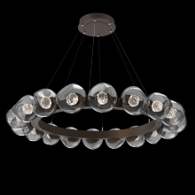 Hammerton CHB0095-48-FB-FS-CA1-L1 - Luna Radial Ring - 48-Inch