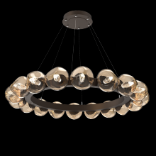 Hammerton CHB0095-48-FB-GB-CA1-L1 - Luna Radial Ring - 48-Inch