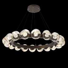 Hammerton CHB0095-48-FB-ZA-CA1-L1 - Luna Radial Ring - 48-Inch