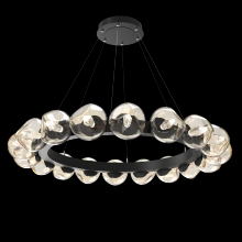 Hammerton CHB0095-48-MB-GA-CA1-L1 - Luna Radial Ring - 48-Inch