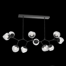 Hammerton PLB0095-BC-MB-ZC-001-L3 - Luna Modern Branch - 10pc